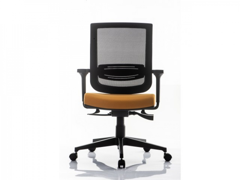 Cadeira de Escritório Executiva Valor Luz - Cadeira Executiva Simples