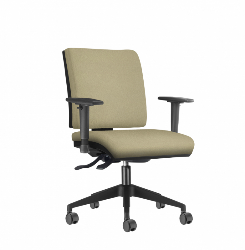 Cadeira Diretor com Braço Valor Perus - Cadeiras de Escritório Diretor