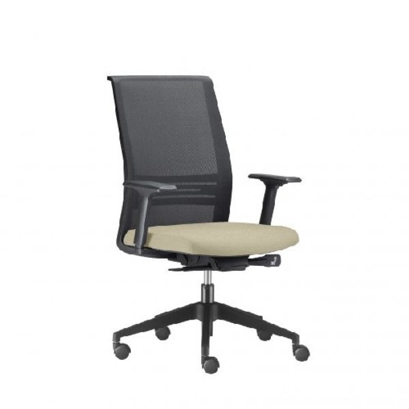 Venda de Cadeira Diretor Ergonômica Capão Redondo - Cadeira Ergonômica com Braço Regulável